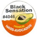 black sensation #4046 premium hass avocados