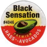 black sensation #4046 premium hass avocados