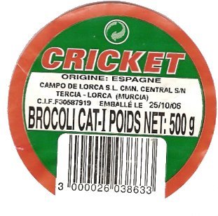cricket brocoli espana