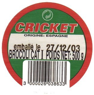 cricket brocoli espana