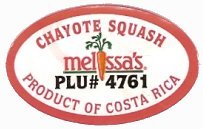 melissa s chayote squash plu #4761 product of cota rica