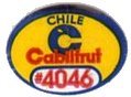 cabilfrut chile #4046