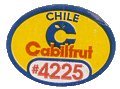 cabilfrut chile #4225