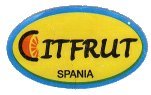 citfrut spania