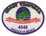 coast tropical premium quality limes 4048 produce of mexico