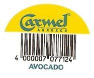 carmel agrexco 4000007077124 avocado