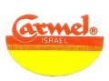 carmel israel