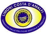 limoni costa d amalfi