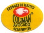 coliman avocado product of mexico 4225 emp 128