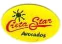 creta star avocados