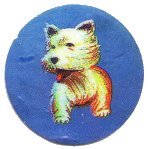 sansnom (chien)