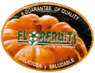 florfruits the queen of the pumpkins a guarantee of quality deliciosa y saludable