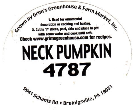 neck pumpkin 4787