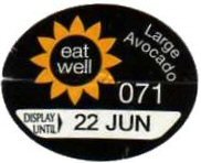 eat well 071 large avocado