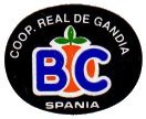 bc coop real de gandia spania