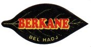 berkane bel hadj