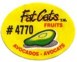 fat cats fruits #4770 avocados avocats