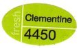 fresh clementine 4450