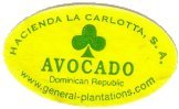 hacienda la carlotta, s.a. avocado dominican republic www.general-plantations.com