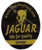 jaguar www.jaguarfruit.com eye for quality spain