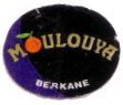 moulouya berkane