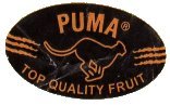 puma top quality fruit