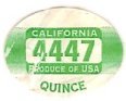 california 4447 produce of usa quince