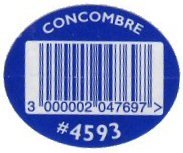 concombre #4593