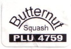 butternut squash plu 4759