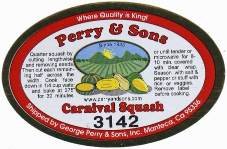 perry&sons 3142 carnival squash