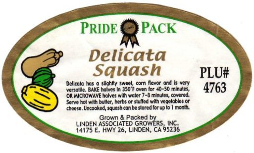 pride pack delicata squash plu #4763