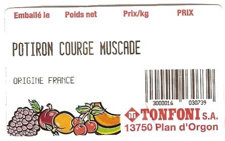 tonfoni sa potiron courge muscade origine france