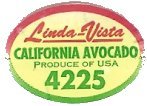 linda-vista california avocado produce of usa 4225