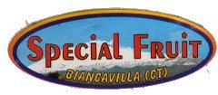 special fruit biancavilla (ct)