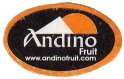 andino fruit www.andinofruit.com