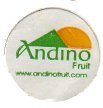 andino fruit www.andinofruit.com