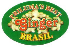 priluma s best ginger brasil