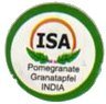 isa pomegranate granataapfel india