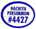 hachiya persimmon #4427
