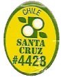santa cruz chile #4428