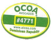 ocoa avocados #4771 www.aiosa.com dominican republic