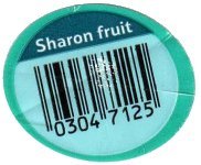 sharon fruit 03047125