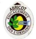 engagement des l origine abricot