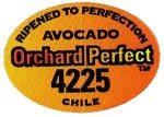 orchard perfect avocado ripened to perfection 4225 chile
