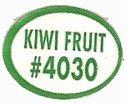 kiwi fruit #4030