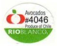 rio blanco avocados #4046 produce of chile