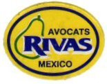 rivas avocats mexico