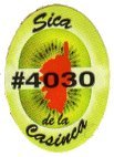 sica de la casinca #4030