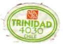 trinidad 4030 chile