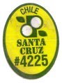 santa cruz chile #4225